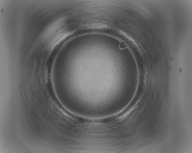 X0000081631306200701151415