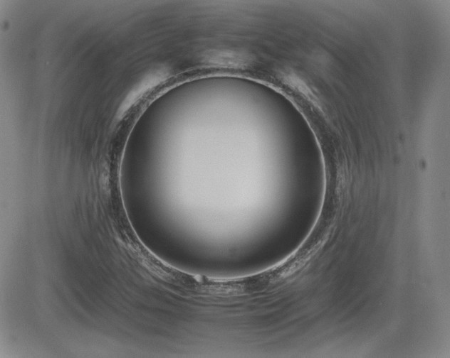 X0000081631307200701151415