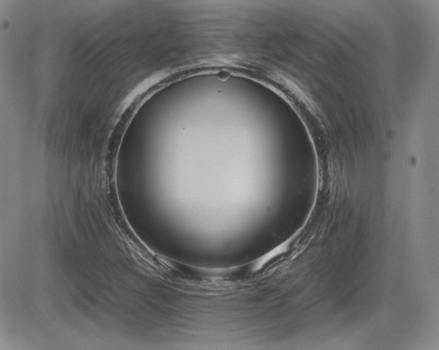 X0000081631308200701151415