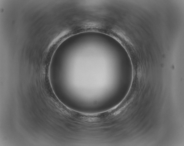 X0000081631309200701151415