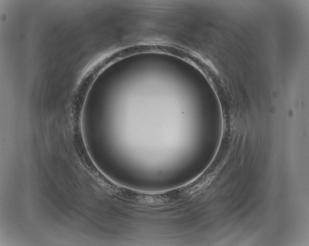 X0000081631311200701151415
