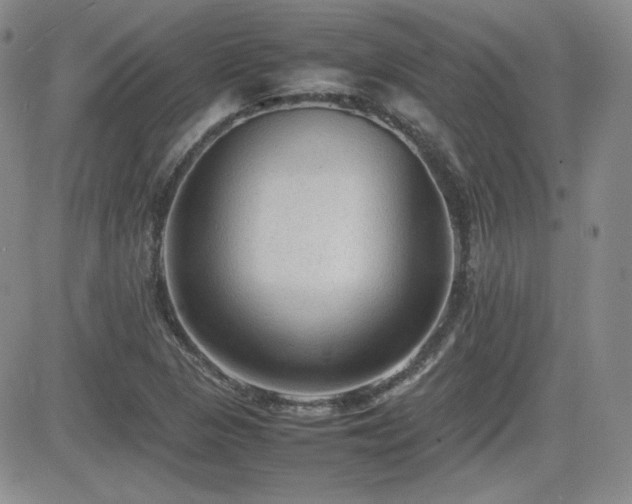X0000081631313200701151415