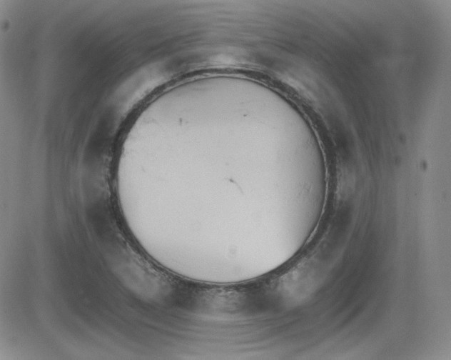 X0000081631314200701151415