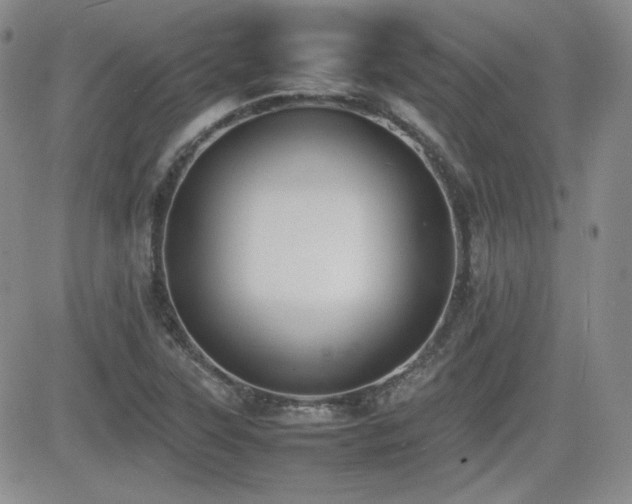 X0000081631315200701151415