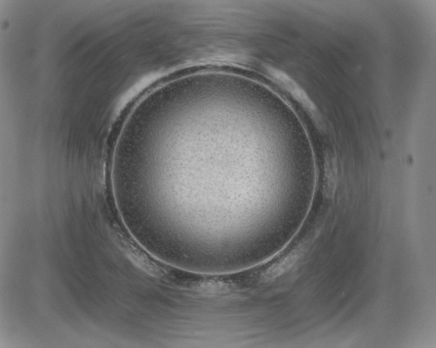 X0000081631316200701151415