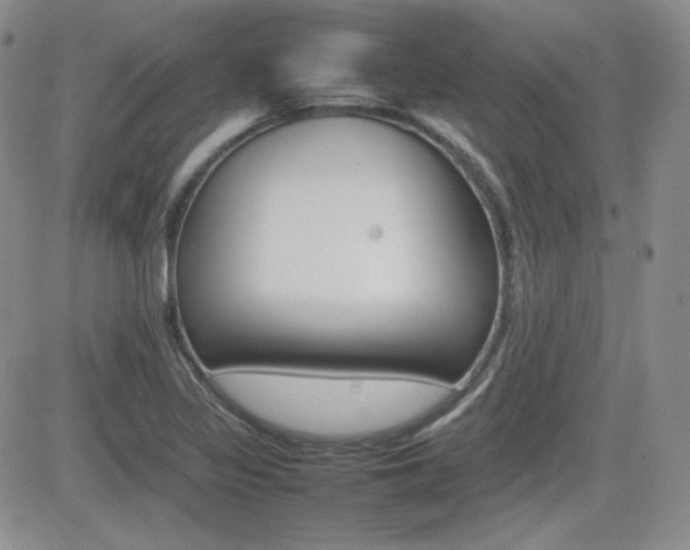 X0000081631317200701151415