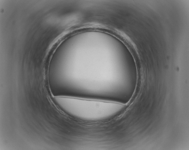 X0000081631318200701151415