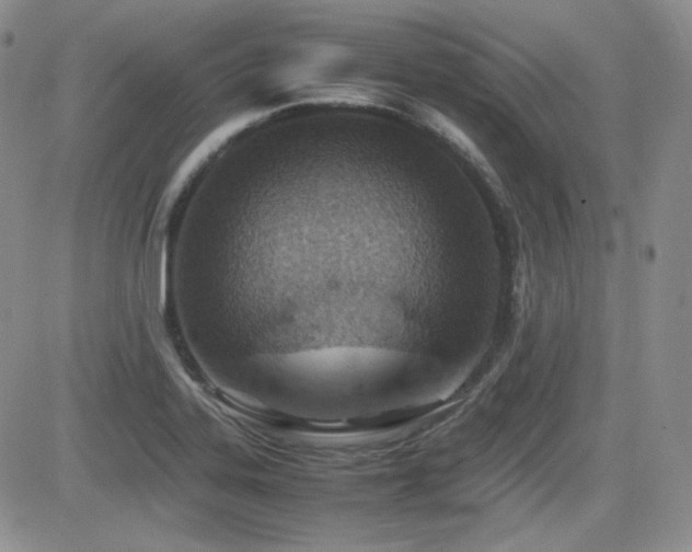 X0000081631323200701151415
