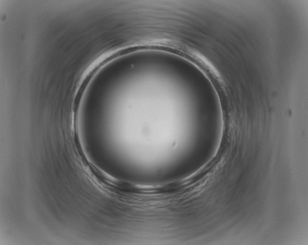 X0000081631324200701151415