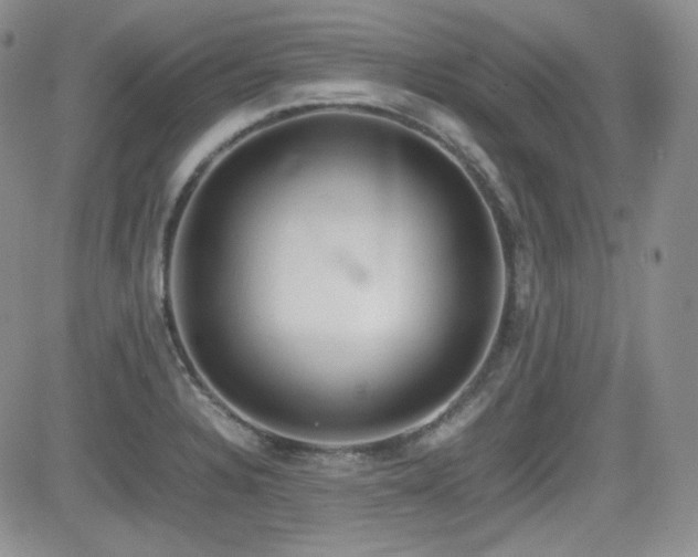 X0000081631328200701151415