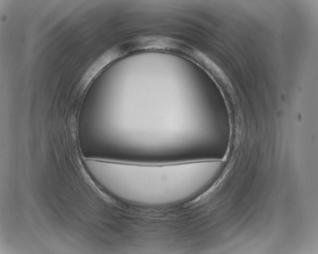 X0000081631329200701151415