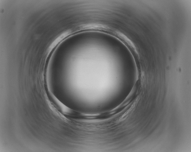 X0000081631330200701151415