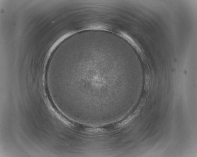 X0000081631331200701151415
