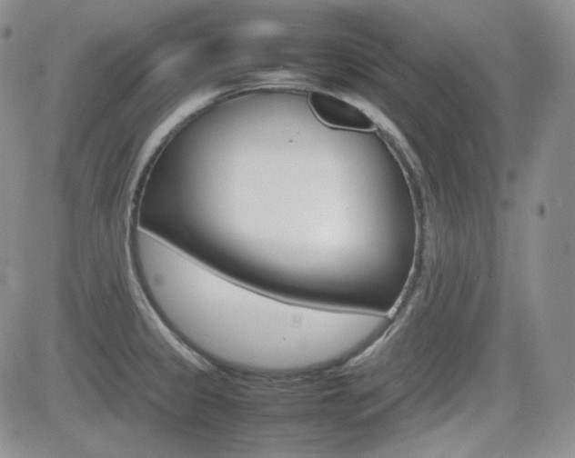 X0000081631333200701151415