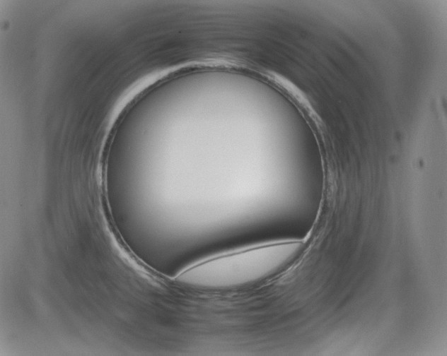 X0000081631335200701151415