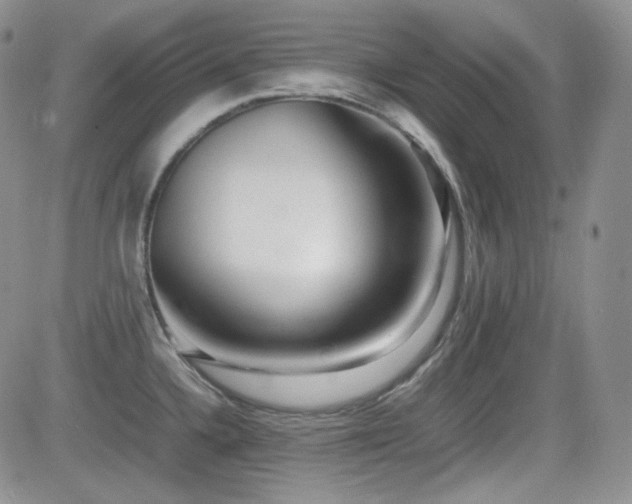 X0000081631336200701151415