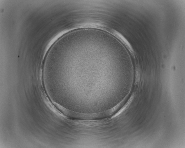 X0000081631340200701151415