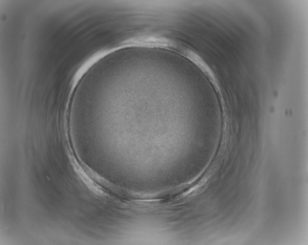 X0000081631344200701151415