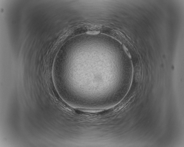 X0000081631345200701151415