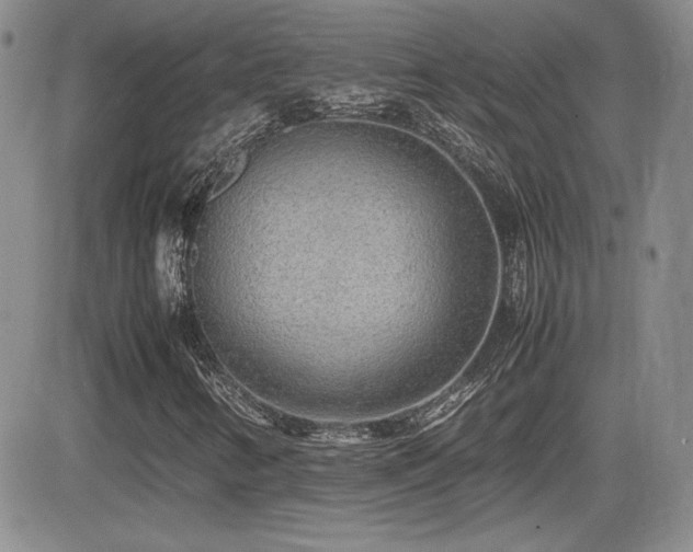 X0000081631346200701151415
