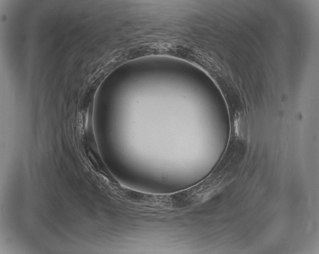X0000081631347200701151415
