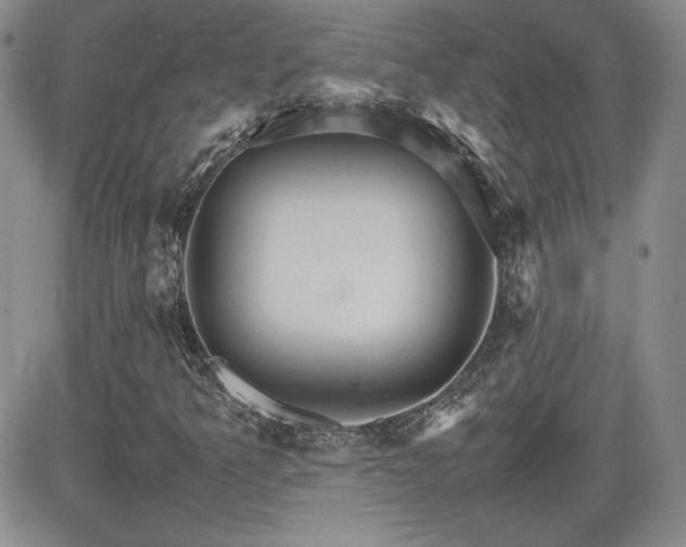 X0000081631349200701151415