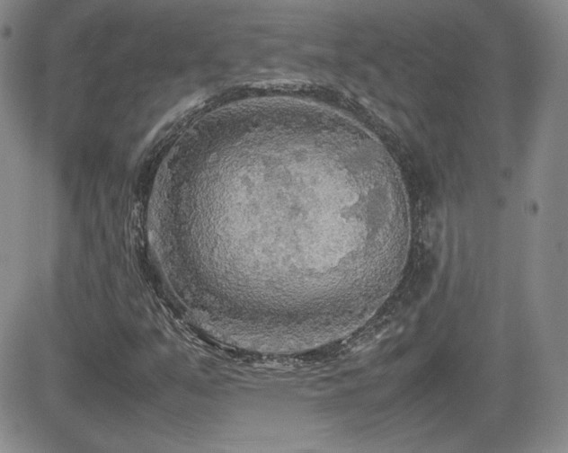 X0000081631351200701151415