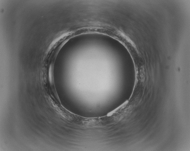 X0000081631352200701151414