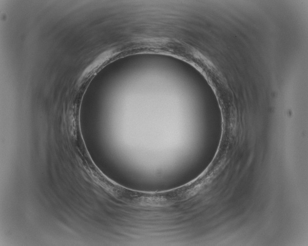 X0000081631354200701151414