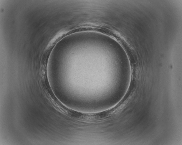 X0000081631355200701151414
