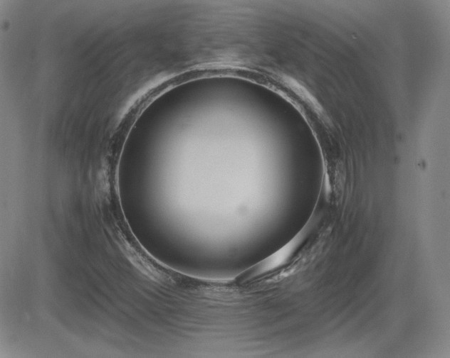 X0000081631356200701151414