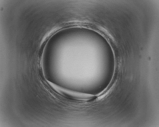 X0000081631357200701151414