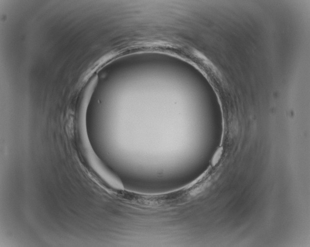 X0000081631361200701151414