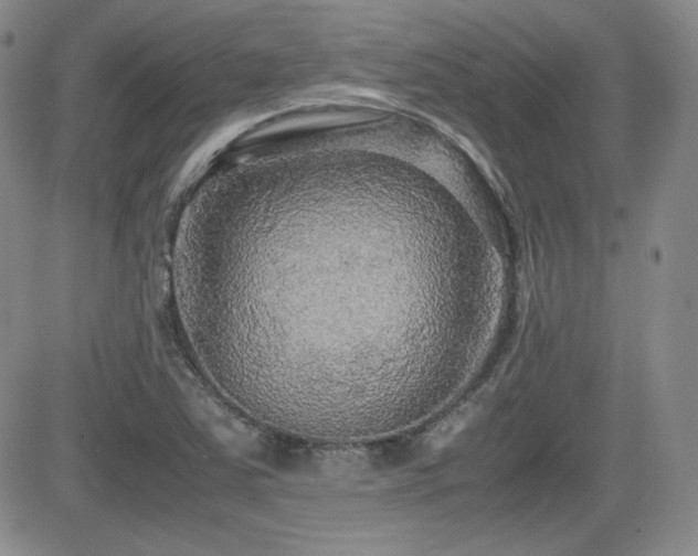 X0000081631363200701151414