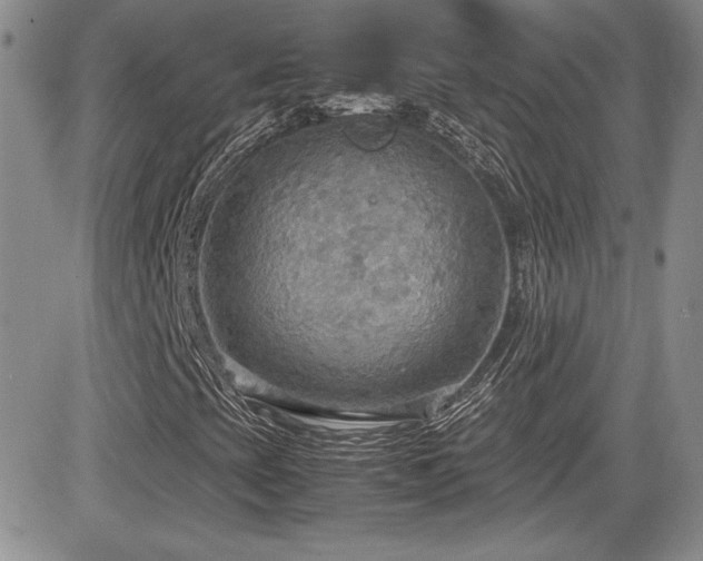 X0000081631393200701151413