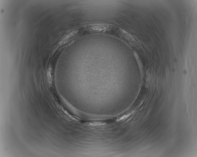 X0000081631394200701151413