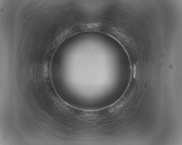 X0000081631395200701151413