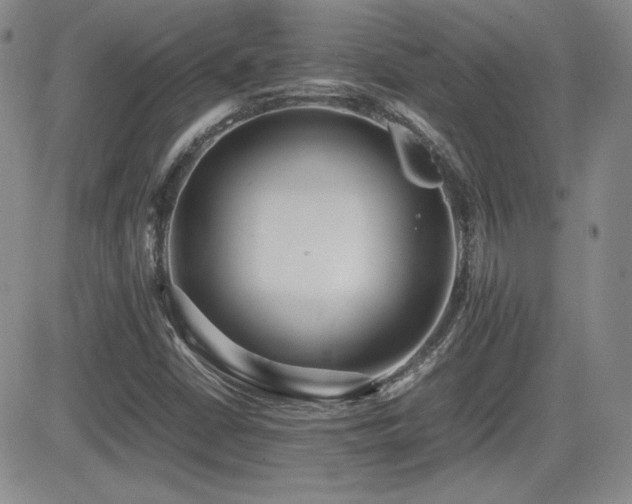 X0000081631402200701151413