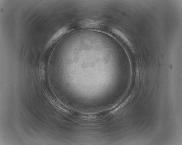 X0000081631403200701151413