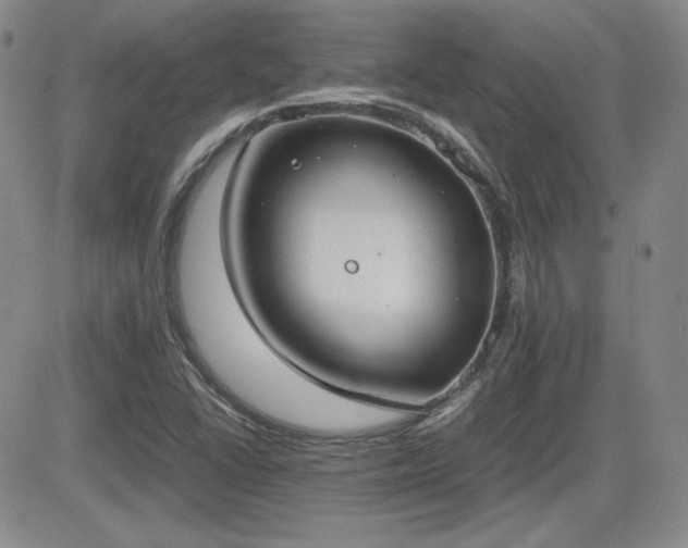 X0000081631406200701151413