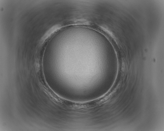X0000081631407200701151413