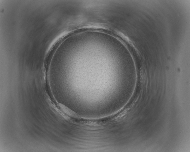 X0000081631408200701151413