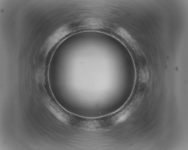 X0000081631410200701151413