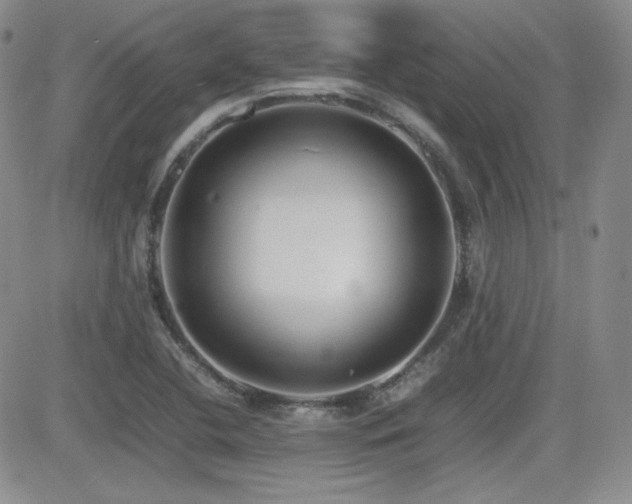 X0000081631412200701151413