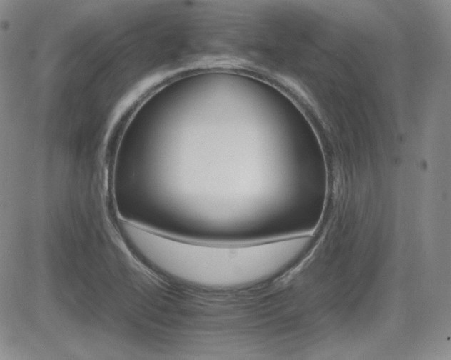 X0000081631414200701151413