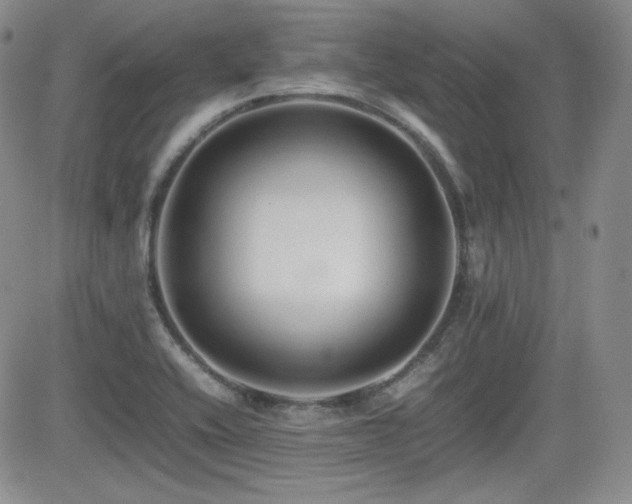 X0000081631416200701151413