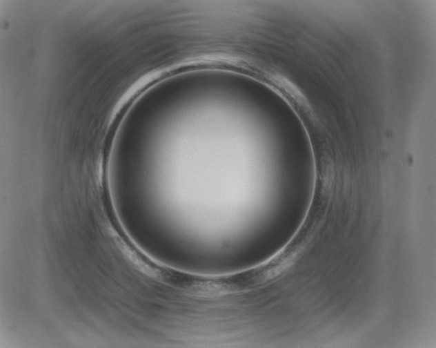 X0000081631420200701151413