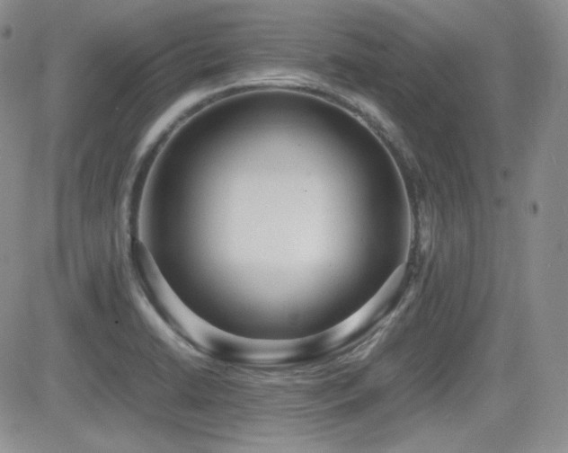 X0000081631422200701151414