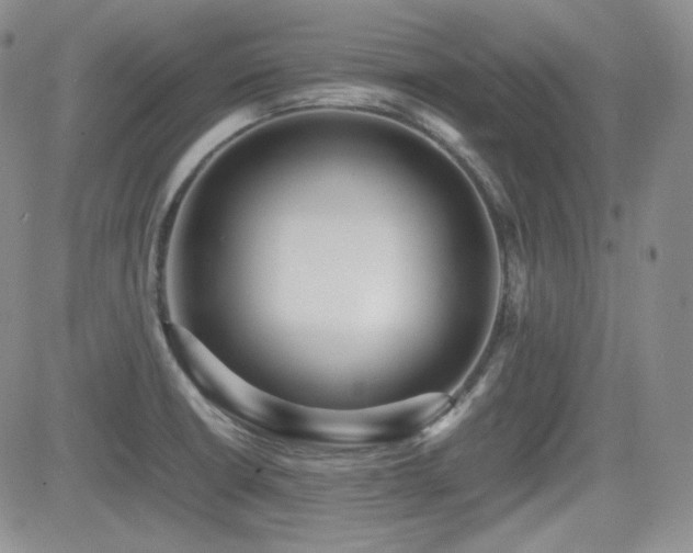 X0000081631426200701151414