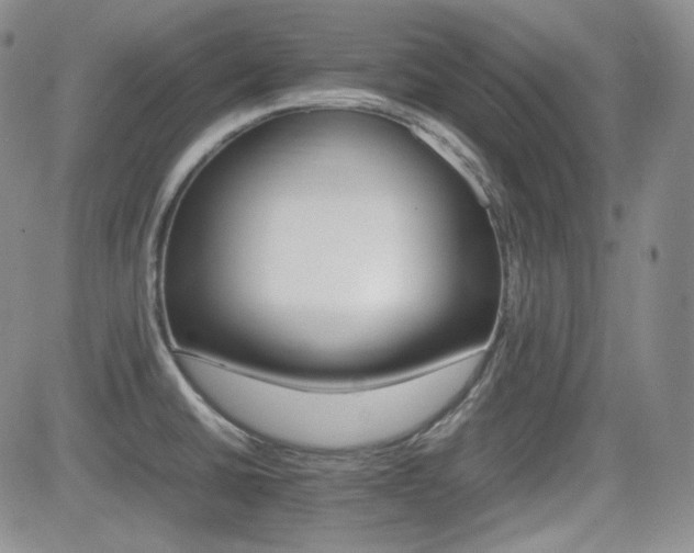 X0000081631430200701151414